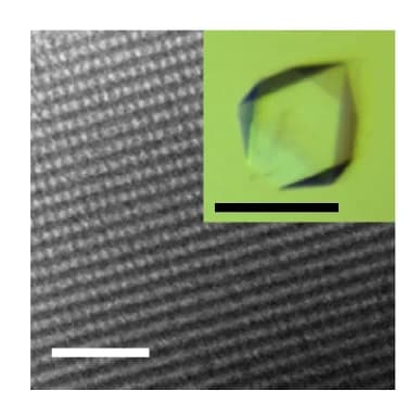 Open access visualization of Microscopy, Photo, CryoEM, Crystals, Optical Micrographs