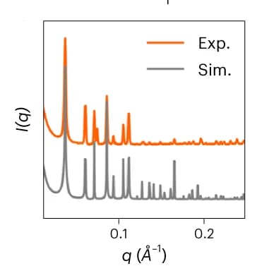 Open access visualization of Line Plot, SAXS, Microcrystals, Simulated Profiles, Design Model