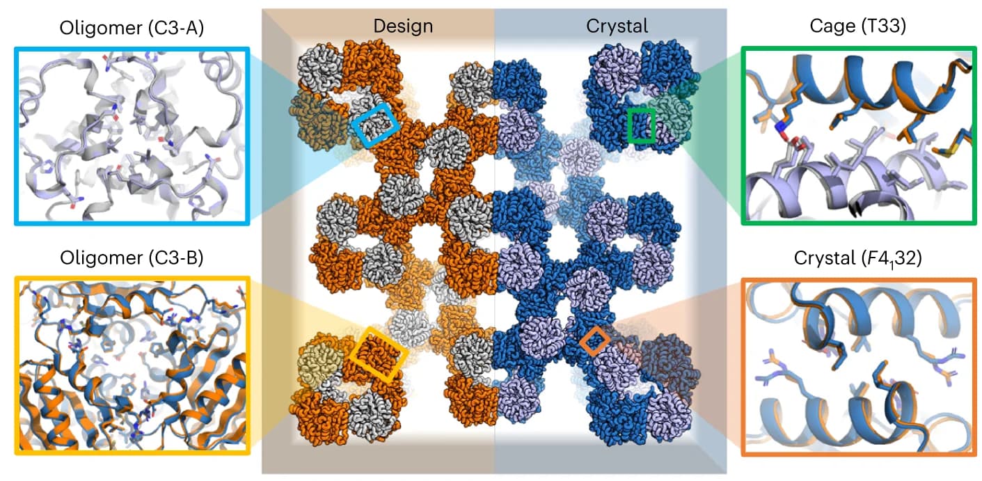 Open access visualization of Protein Structure, Chemical Structure, Cyclic Oligomer, Interfaces, Polyhedral Cage
