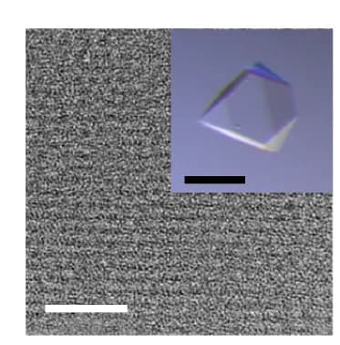 Open access visualization of Microscopy, Photo, CryoEM, Crystals, Optical Micrographs