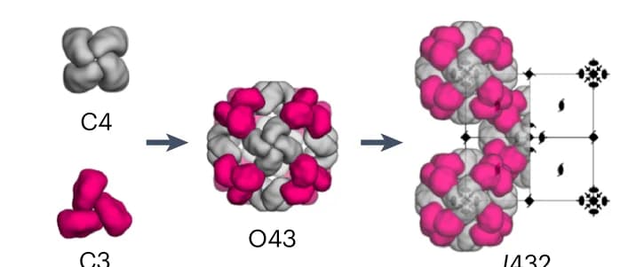 Open access visualization of Chemical Structure, Workflow, Crystals, Cyclic Oligomers, Cage Symmetry