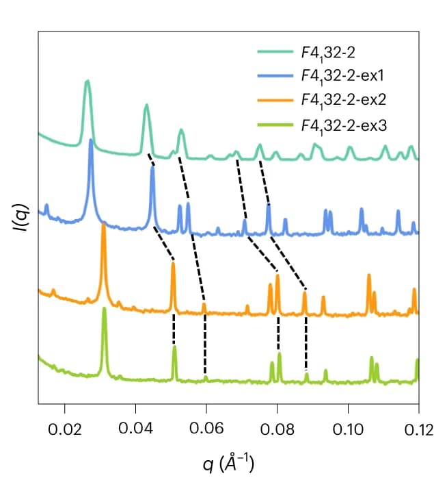 Open access visualization of Line Plot, SAXS Profile