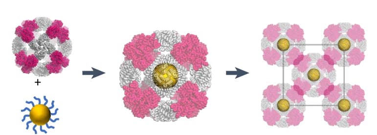 Open access visualization of Workflow, Illustration, AuNPs, Metal Coordination, Crystal Lattices