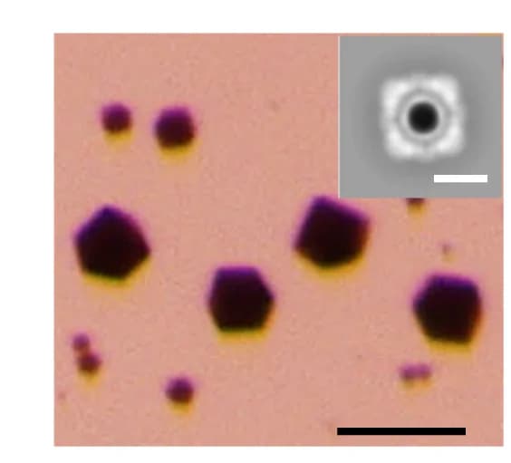 Open access visualization of Microscopy, Optical Micrograph, Crystals, AuNP Encapsulation, nsEM