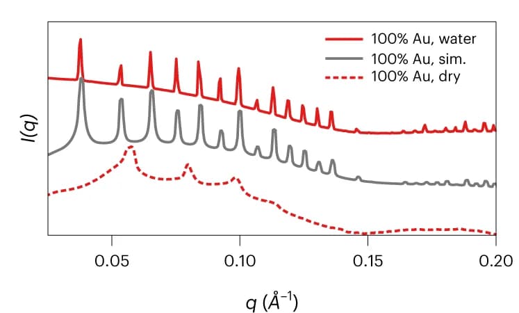 Open access visualization of Line Plot, SAXS Profiles, Hydrated Crystals, Dried Crystals, AuNP Encapsulation