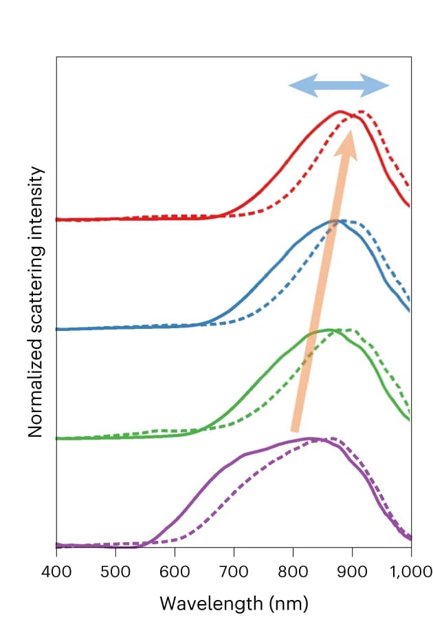 Open access visualization of Line Plot, Hyperspectral Dark-Field, Scattering Spectra, Crystals, AuNPs