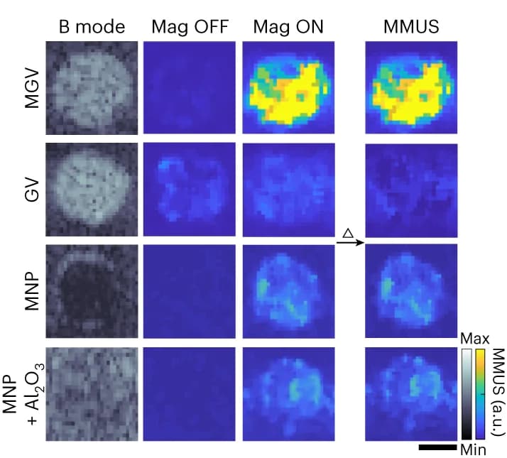 Open access visualization of Heatmap, MMUS imaging, MGVs, GVs, MNPs