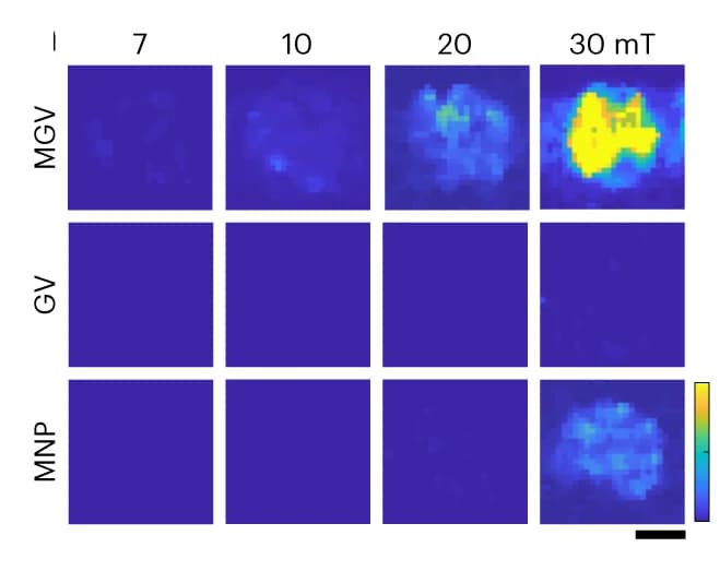 Open access visualization of Heatmap, Magnetic strength, MMUS images, MGVs