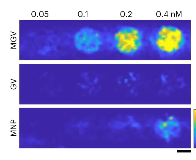Open access visualization of Microscopy, Concentration, MMUS images