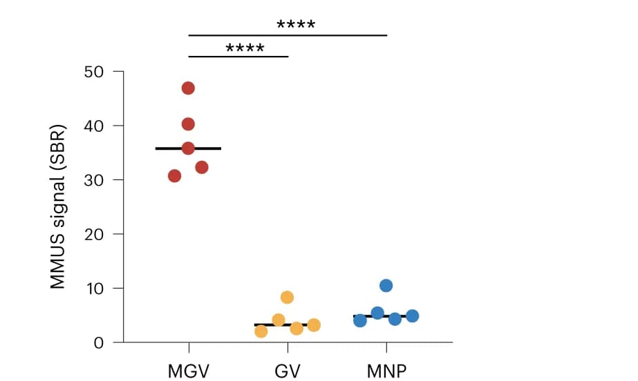 Open access visualization of Scatter Plot, SBR Quantification, MGVs, GVs, MNPs