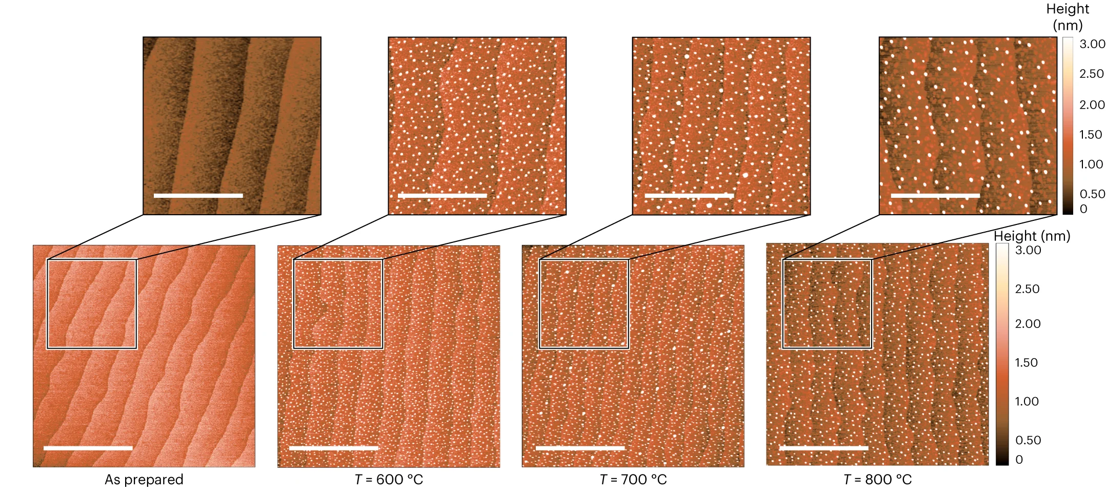 Open access visualization of Microscopy, Surface Morphology, Reducing Treatment, Atomic Force Microscopy, Exsolved Nanoparticles