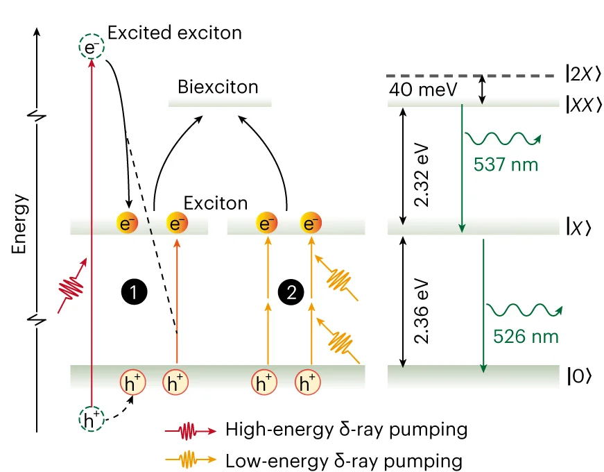 Open access visualization of Illustration, Workflow, Proton Scintillation, CsPbBr3 Nanocrystal, Multiple Exciton Generation