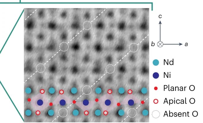 Open access visualization of Microscopy, Annular Bright-Field Image, Apical Oxygens, Nd3Ni3O8