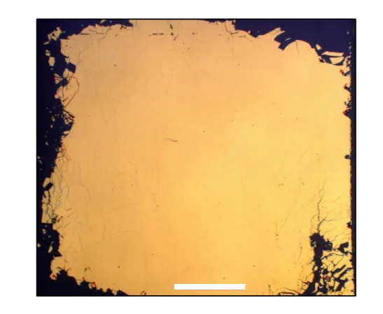 Open access visualization of Microscopy, Optical Image, Membrane, Silicon