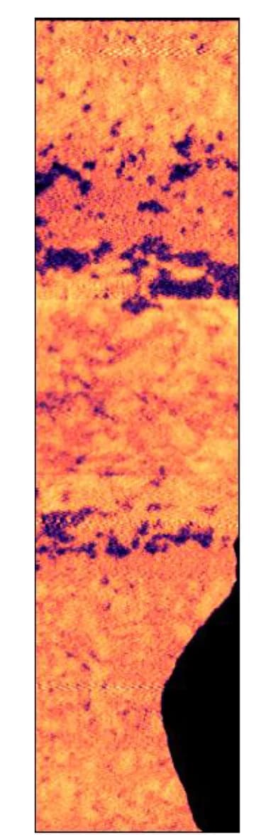 Open access visualization of Microscopy, AFM STXM Contrast, Temperature, OOP Contrast, IP Contrast