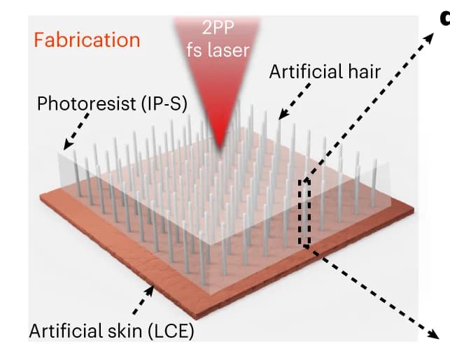 Open access visualization of Illustration, Workflow, Fabrication Process, Polymeric Microhair Arrays, LCE Skin