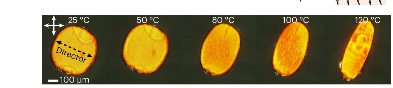 Open access visualization of Microscopy, Cross-Polarized Optical Images, LCE, Liquid Crystal, 5CB