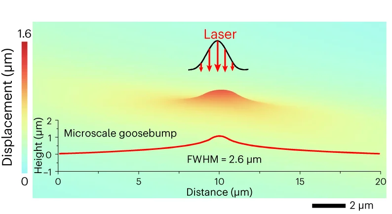 Open access visualization of Line Plot, Heatmap, FE Simulation, Artificial Microscale Goosebump, Laser