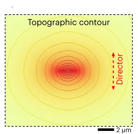 Open access visualization of Line Plot, Density Plot, Topographic Contour, FE Simulation, Microscale Goosebump