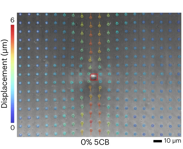 Open access visualization of Microscopy, Surface Displacement, LCE Surface, 5CB Dopant, Laser