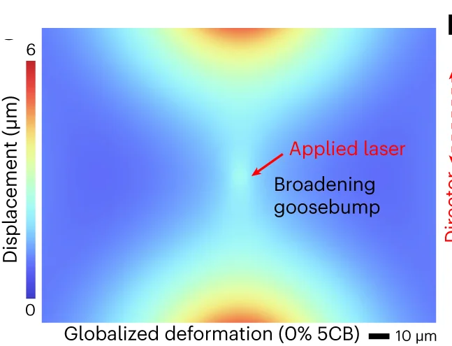 Open access visualization of Heatmap, FE Simulation, Displacement, LCE Surface, 5CB Dopant