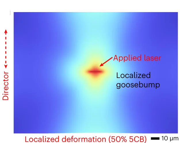 Open access visualization of Heatmap, FE Simulation, Displacement, LCE Surface, 5CB Dopant