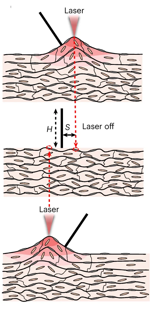 Open access visualization of Illustration, Schematic Illustration, Microhairs, Goosebumps, Actuation