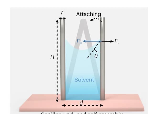 Open access visualization of Illustration, Capillary-Induced Self-Assembly, Printed High-Aspect-Ratio Microstructures, Microstructures, Schematic
