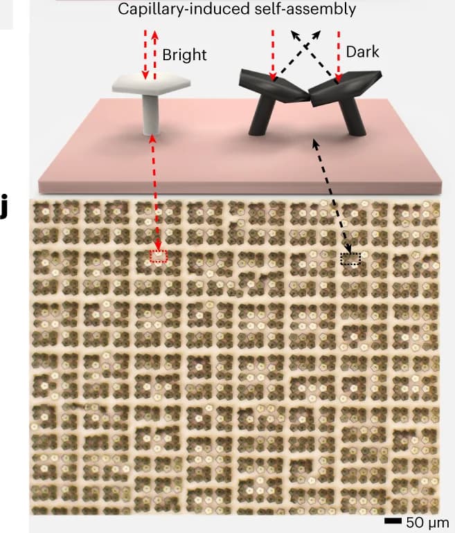 Open access visualization of Microscopy, Disassembling Mechanism, Mushroom-Like Mirror, Micro-Mirrors, Light Scattering