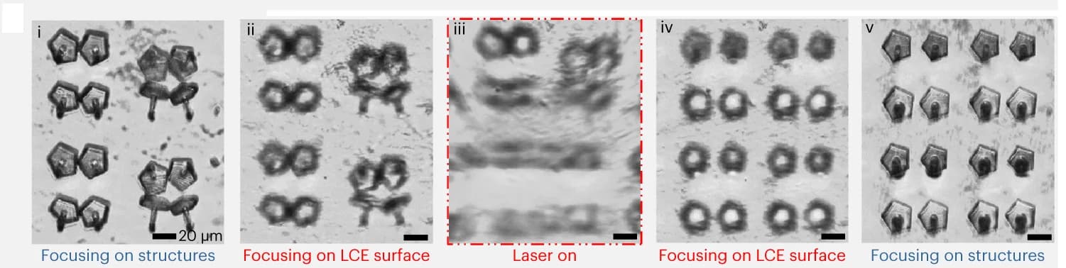 Open access visualization of Microscopy, Optical Images, Disassembling Process, Assembled Structures, Laser