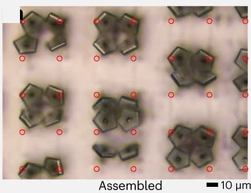 Open access visualization of Microscopy, Reflective Optical Image, Assembled Microstructures, Microstructures