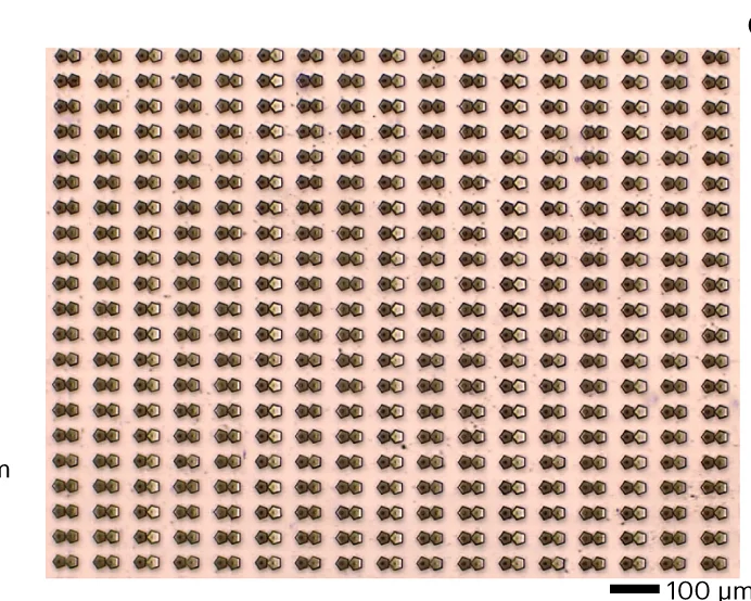 Open access visualization of Microscopy, Optical Image, Bi-assemblies, Self-assembly