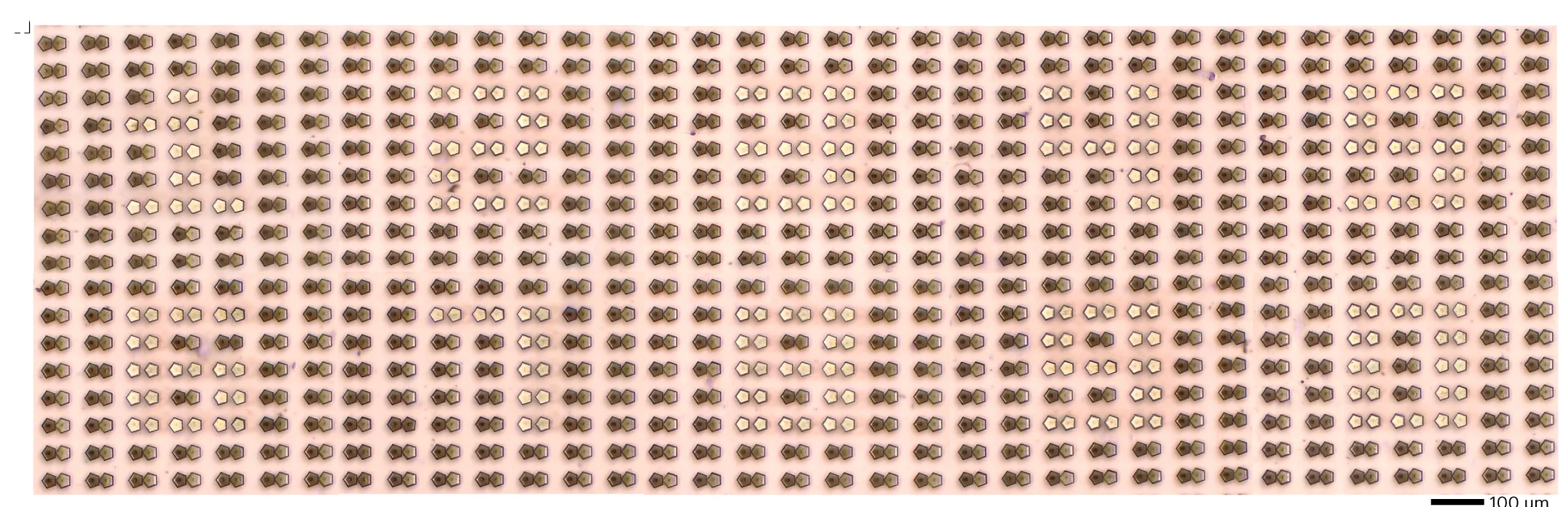 Open access visualization of Microscopy, Optical Image, Digital Numbers
