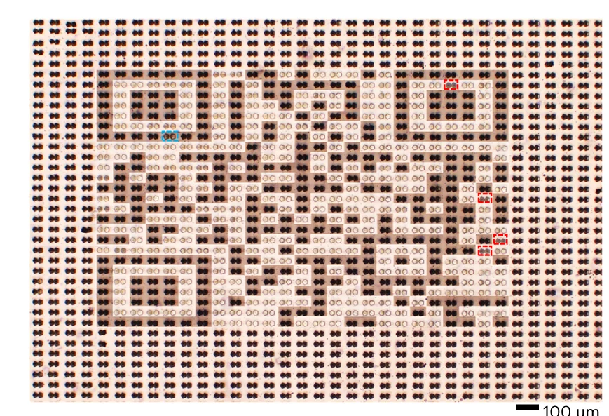 Open access visualization of Microscopy, Optical Image, QR Code, Defective Pixels, Disassembly