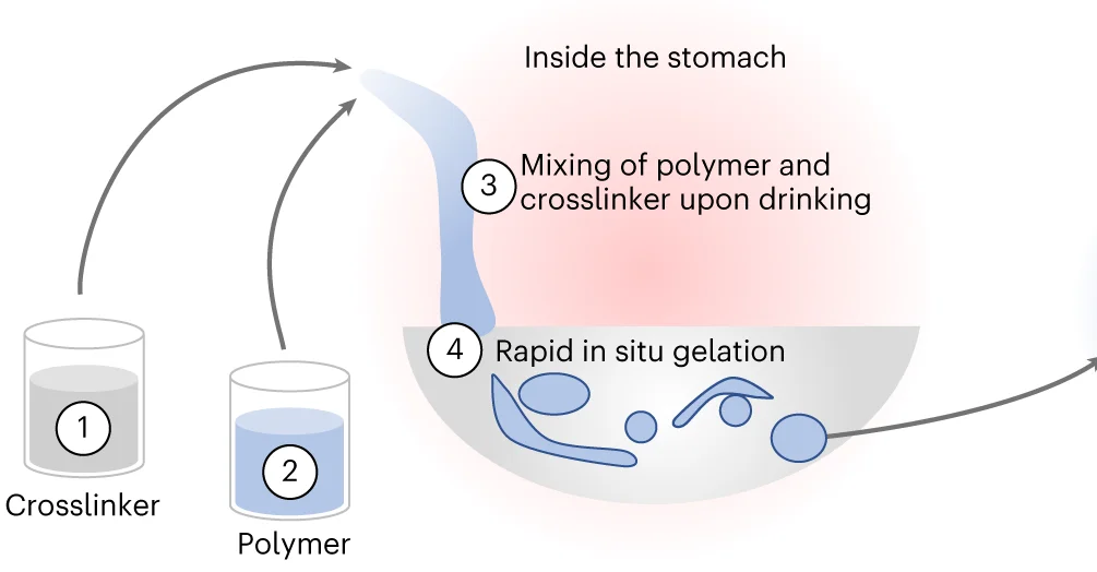 Open access visualization of Workflow, Flowchart, Illustration, LIFT Hydrogels, Oral Administration