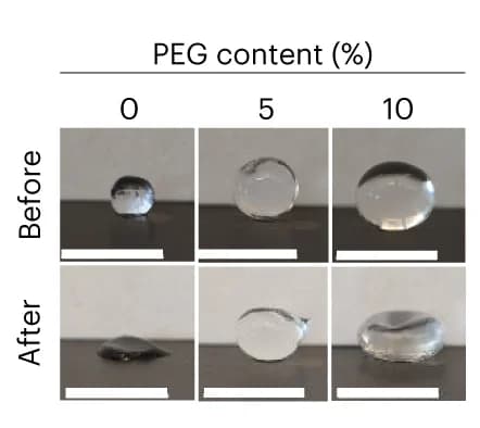 Open access visualization of Photo, Hydrogel Compositions, 90% Strain, Scale Bars, Images