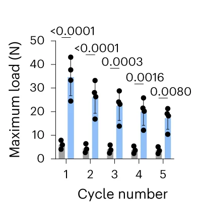 Open access visualization of Bar Plot, Error Bars, Scatter Plot, Maximum Loads, Alginate Hydrogels