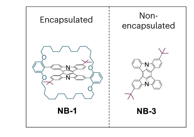 Open access visualization of Chemical Structure, Molecular Structures, NB-1, NB-3