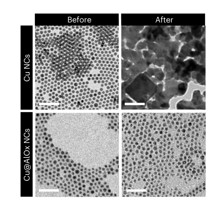 Open access visualization of Microscopy, TEM Image, Copper Nanoclusters, Copper-Aluminum Oxide Nanoclusters, Carbon Dioxide Reduction Reaction