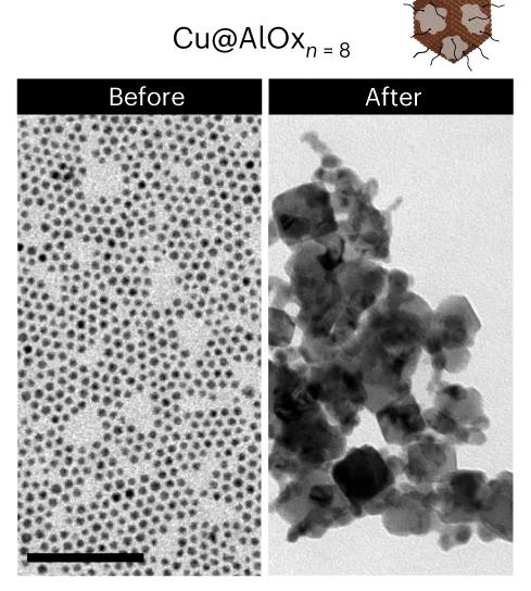 Open access visualization of Microscopy, BF-TEM, Cu@AlOx, CO2RR, Electrochemical Reduction
