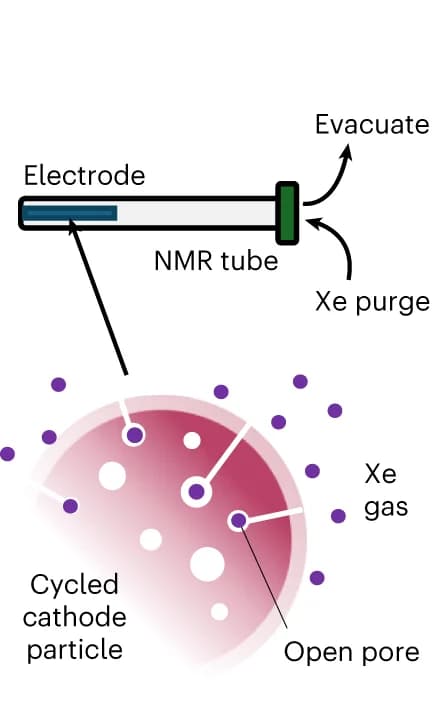 Open access visualization of Workflow, Illustration, 129Xe NMR, Samples, Xe Gas