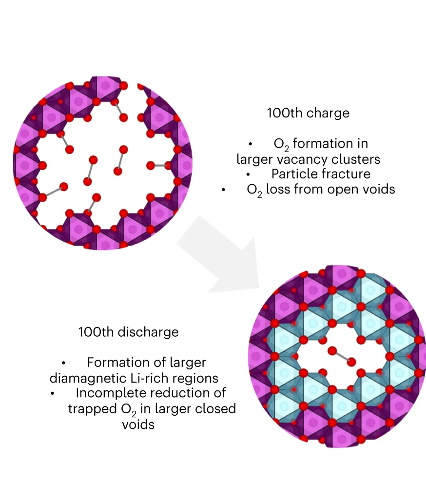 Open access visualization of Chemical Structure, TM Migration, Agglomeration, Voids, Cracking
