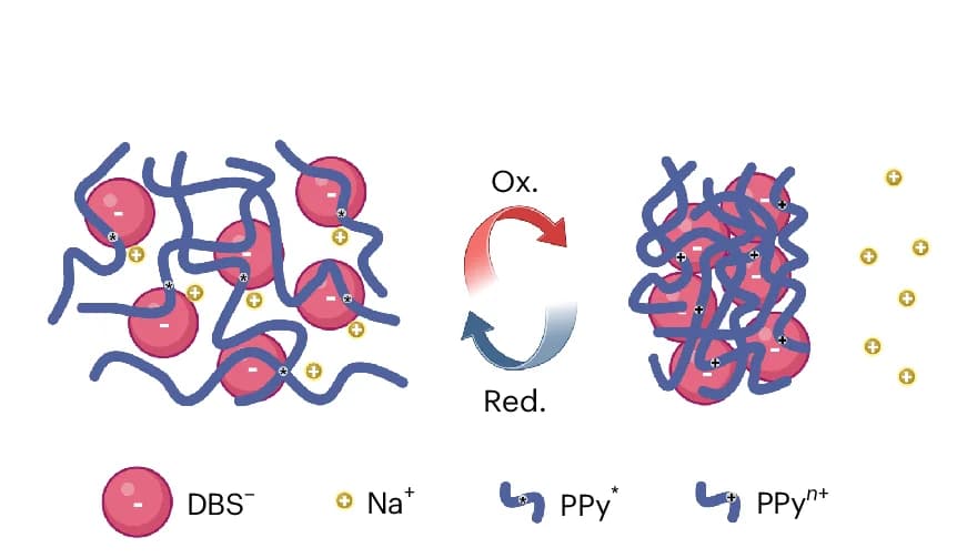 Open access visualization of Illustration, Chemical Structure, PPy(DBS), Electrochemical Process, Cations