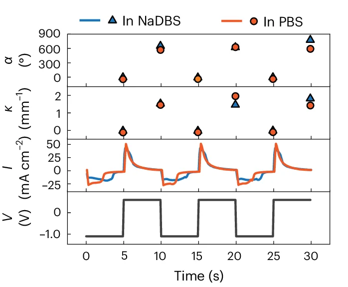 Open access visualization of Line Plot, Scatter Plot, Performance Comparison, NaDBS, PBS