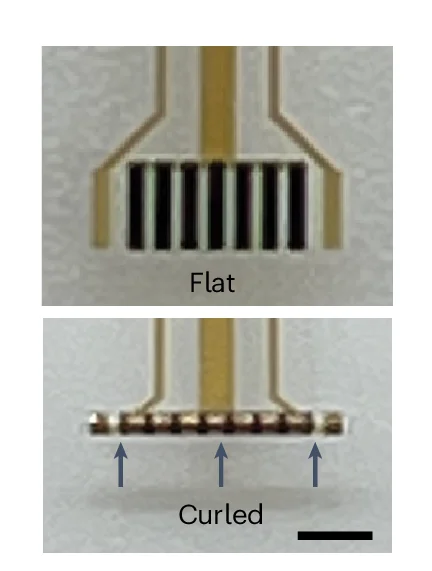 Open access visualization of Photo, Optical Micrographs, Cuff Device, Recording Electrodes, Micro-Striped Actuators