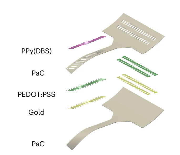 Open access visualization of Illustration, Device Render, Nerve Cuffs, Thin-Film, Au Tracks