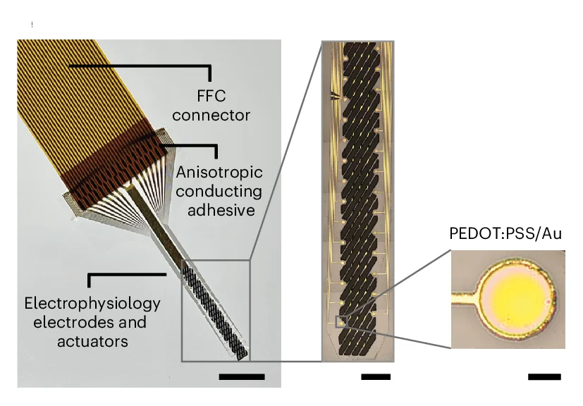 Open access visualization of Microscopy, Photo, Photograph, Device, Flexible Cable Connector