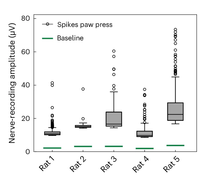 Open access visualization of Box Plot, Noise, Spike Amplitude, Paw Press, Actuator