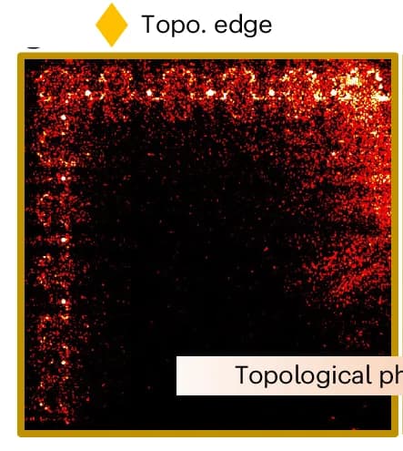 Open access visualization of Microscopy, Electromagnetic Field, Topological Edge Modes