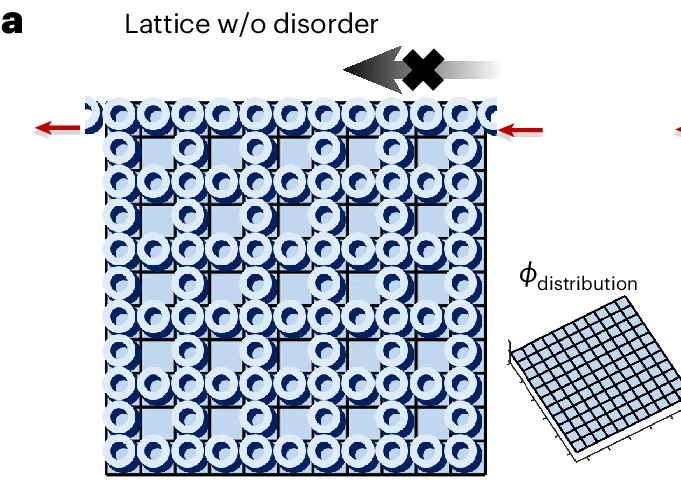 Open access visualization of Illustration, 3D Plot, TAI, Disorder, Topological Anderson Phase Transitions